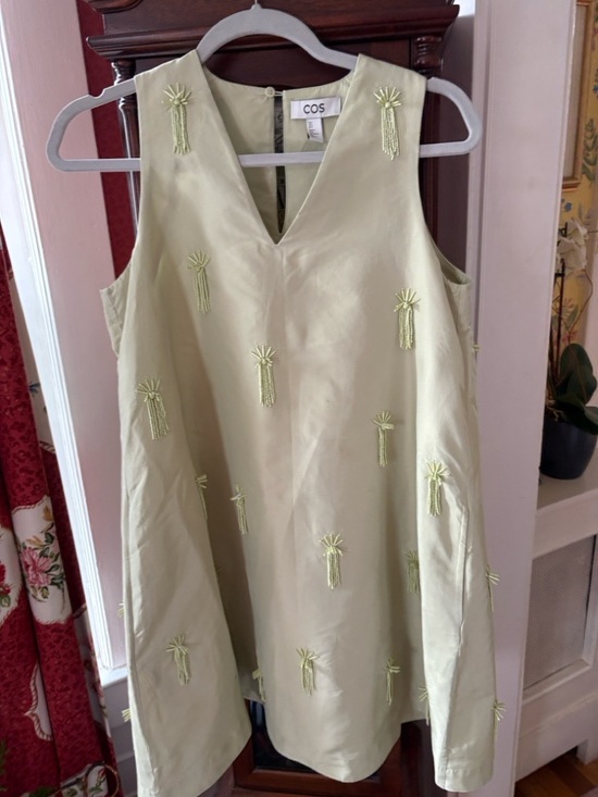 COS Dresses & Skirts - COS Light Green Embellished V-Neck Mini Dress